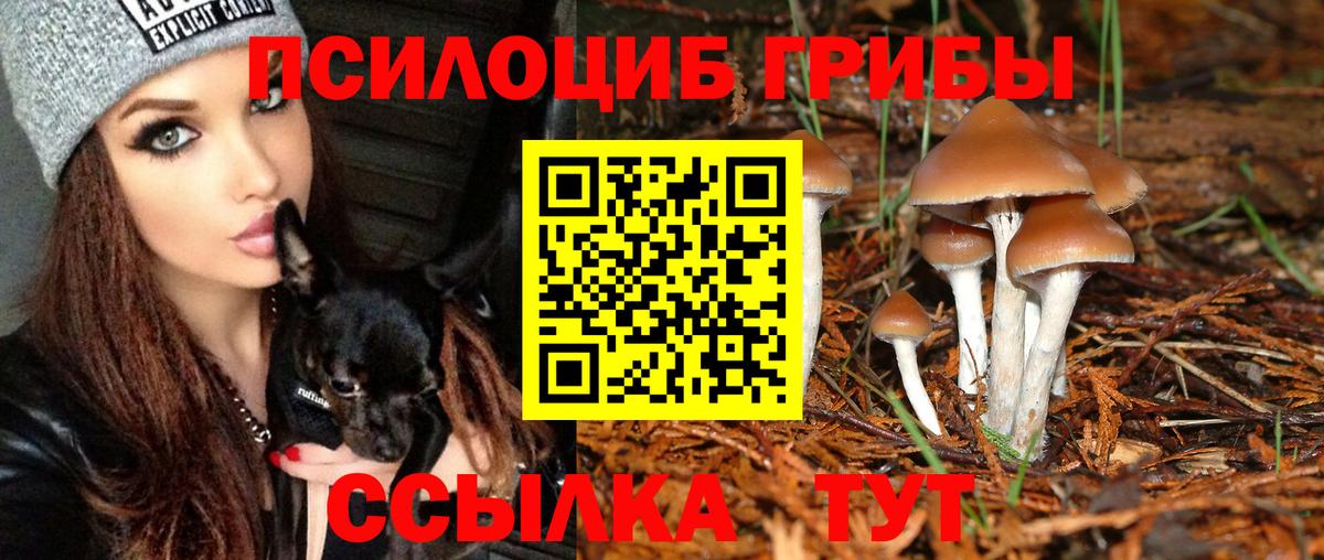 Галлюциногенные грибы Magic Shrooms Кисловодск