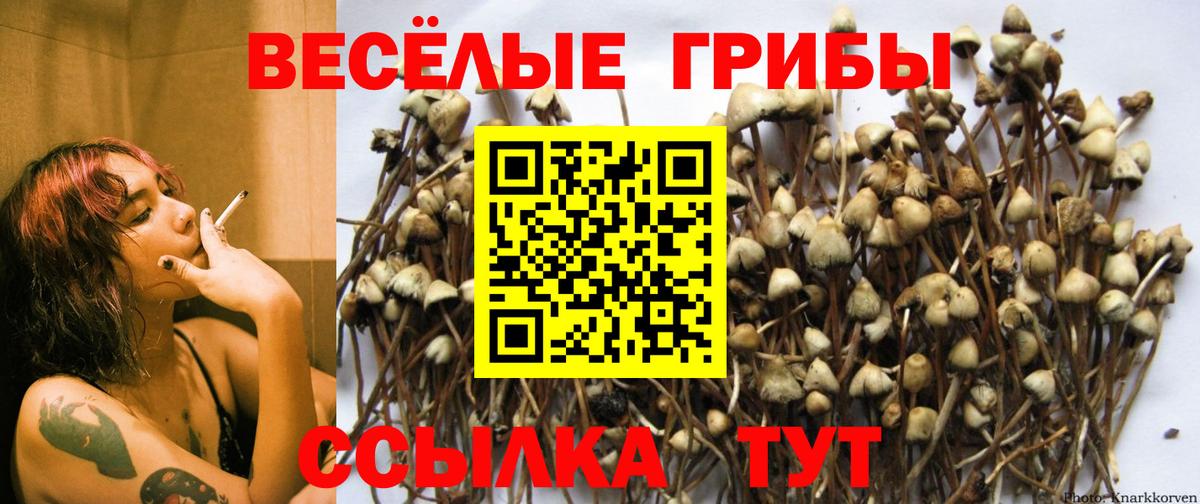Марихуана Кисловодск
