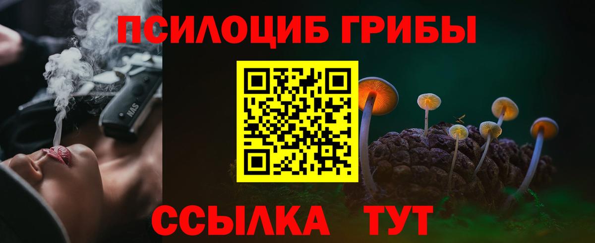 Псилоцибиновые грибы Magic Shrooms  Вход с VPN  Галлюциногенные грибы GOLDEN TEACHER  сколько стоит  Кисловодск 
